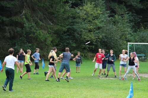 auf der Wiese